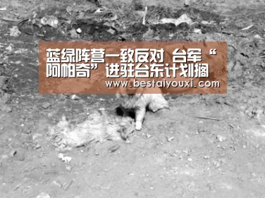 蓝绿阵营一致反对 台军“阿帕奇”进驻台东计划搁浅【爱游戏官网】(图2) 爱游戏官网