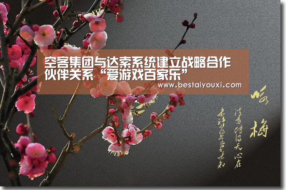 爱游戏直播