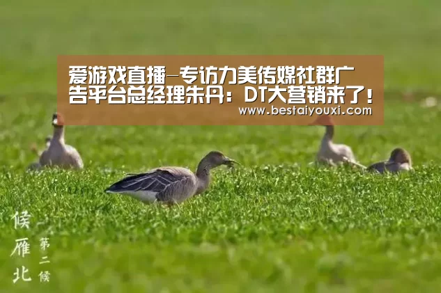 爱游戏直播-专访力美传媒社群广告平台总经理朱丹:DT大营销来了!(图1) 爱游戏百家乐