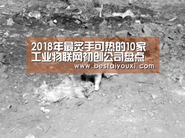2018年最炙手可热的10家工业物联网初创公司盘点‘爱游戏百家乐’(图2) 爱游戏官网
