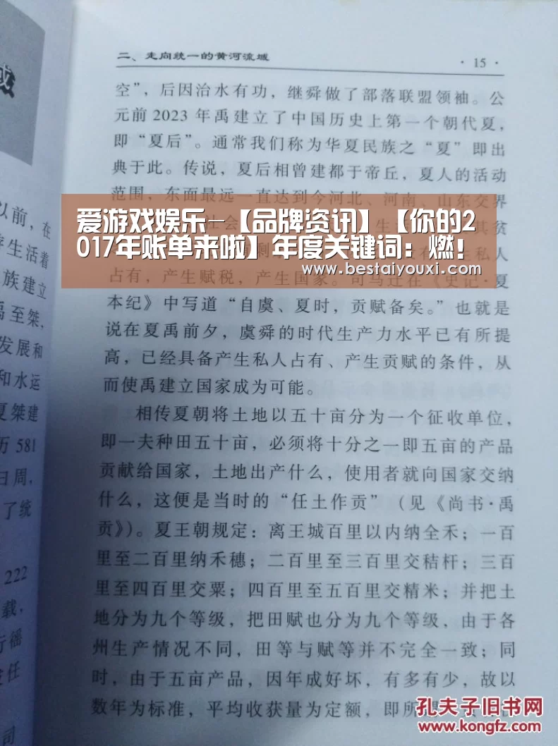 爱游戏娱乐-【品牌资讯】【你的2017年账单来啦】年度关键词:燃!(图1) 爱游戏娱乐