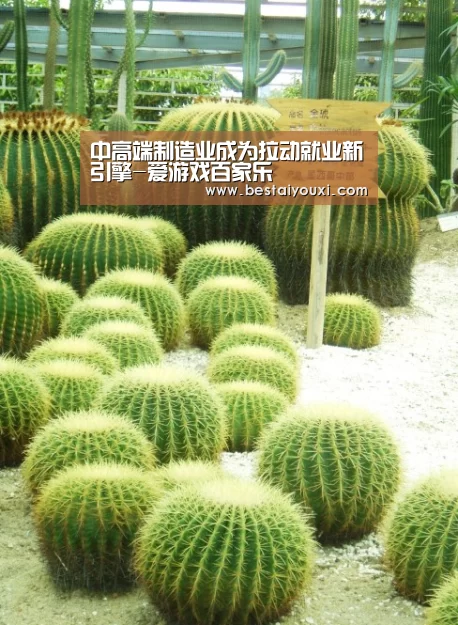 中高端制造业成为拉动就业新引擎-爱游戏百家乐(图3) 爱游戏百家乐