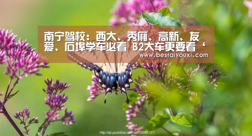 南宁驾校:西大、秀厢、高新、友爱、石埠学车必看 B2大车更要看‘爱游戏娱乐’(图3) 爱游戏百家乐
