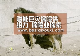 赋能巨灾保险供给力 保险业探索“科技+保险”防灾减损-爱游戏百家乐(图1) 爱游戏官网